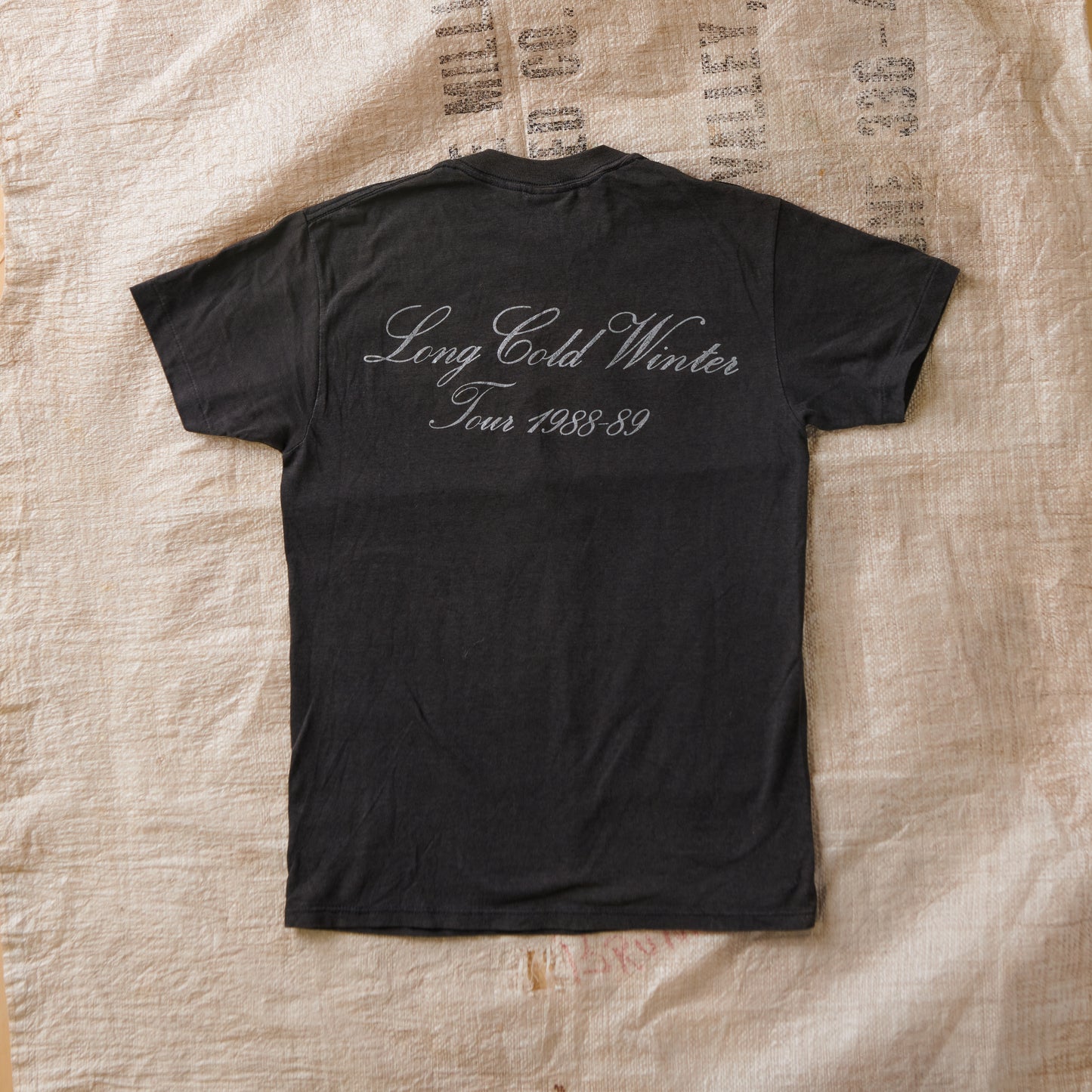 80s Cinderella Long Cold Winter Tour Single Stitched Band Tee